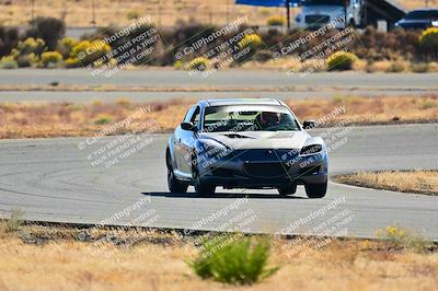 media/Nov-16-2024-Extreme Speed (Sat) [[6587d07cc4]]/Silver Group/Session 2 (Turns 3 and 5)/